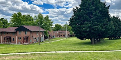 Cherry Hill Grass 8X4